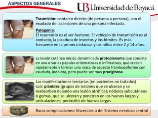 Trasmisión: contacto directo (de persona a persona), con el
exudado de las lesiones de una persona infectada.
Patogenia:
El reservorio es el ser humano. El vehículo de transmisión es el
contacto, la picadura de insectos y los fómites. Es más
frecuente en la primera infancia y los niños entre 2 y 14 años.
La lesión cutánea inicial, denominada protopianoma que consiste
en una o varias pápulas eritematosas e infiltrativas, que crecen
rápidamente y forman una masa de aspecto frambuesiforme con
exudado, indolora, pero puede ser muy pruriginosa.
Las manifestaciones terciarias (en pacientes no tratados)
son: piánides (grupos de lesiones que se ulceran y se
reabsorben dejando una lesión atrófica); nódulos subcutáneos
o gomas, que se ulceran y penetran en los huesos largos y
articulaciones, periostitis de huesos largos
Raras complicaciones: Viscerales o del Sistema nervioso central
ASPECTOS GENERALES
 