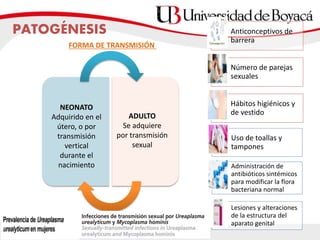 PATOGÉNESIS
NEONATO
Adquirido en el
útero, o por
transmisión
vertical
durante el
nacimiento
ADULTO
Se adquiere
por transmisión
sexual
Anticonceptivos de
barrera
Número de parejas
sexuales
Hábitos higiénicos y
de vestido
Uso de toallas y
tampones
Administración de
antibióticos sintémicos
para modificar la flora
bacteriana normal
Lesiones y alteraciones
de la estructura del
aparato genital
FORMA DE TRANSMISIÓN
 