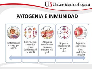 PATOGENIA E INMUNIDAD
 