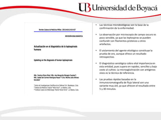 • Las técnicas microbiológicas son la base de la
confirmación de la enfermedad.
• La observación por microscopía de campo oscuro es
poco sensible, ya que las leptospiras se pueden
confundir con filamentos proteicos u otros
artefactos.
• El aislamiento del agente etiológico constituye la
prueba de oro, aunque ofrece un resultado
retrospectivo.
• El diagnóstico serológico cobra vital importancia en
esta entidad, pues supera en rapidez, sencillez y bajo
costo al cultivo. La microaglutinación con antígenos
vivos es la técnica de referencia.
• Las pruebas rápidas basadas en la
inmunocromatografía de flujo lateral son una
variante muy útil, ya que ofrecen el resultado entre
5 y 30 minutos.
 