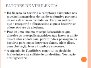 FATORES DE VIRULÊNCIA Há fixação da bactéria a receptores existentes nos mucopolissacarídeos do tecido conjuntivo por meio de uma de suas extremidades. Estudos indicam que o receptor é a fibronectina e que a bactéria se adere através de adesinas. Produz uma enzima mucopolissacaridase que dissolve os mucopolissacarídeos que fazem a união das células endoteliais, permitindo a passagem da bactéria para meios intravasculares. Além disso, essa obstrução leva a trombose e necrose. A cápsula de  T.pallidum  constitui-se de ácido hialurônico e de sulfato de condroitina. Tem ação antifagocitária. 