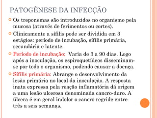 PATOGÊNESE DA INFECÇÃO Os treponemas são introduzidos no organismo pela mucosa (através de ferimentos ou cortes). Clinicamente a sífilis pode ser dividida em 3 estágios: período de incubação, sífilis primária, secundária e latente. Período de incubação:  Varia de 3 a 90 dias. Logo após a inoculação, os espiroquetídeos disseminam-se por todo o organismo, podendo causar a doença. Sífilis primária:  Abrange o desenvolvimento da lesão primária no local da inoculação. A resposta inata expressa pela reação inflamatória dá origem a uma lesão ulcerosa denominada cancro-duro. A úlcera é em geral indolor o cancro regride entre três a seis semanas. 
