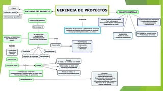 MAPA CONCEPTUAL DE GERENCIA DE PROYECTOS - ESTEBANA ESPITIA PEREZ