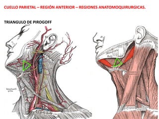 Recto Anterior Menor de laCabeza.