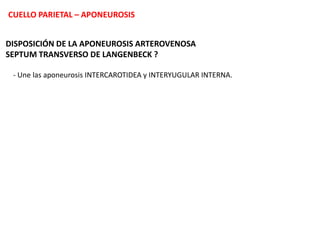  Tronco Tirolinguofaringofacial