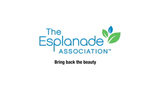 Bring back the beauty
 