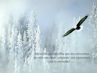 Recuerda que aquellos que nos atrevemos
a volar con amor consiente, nos toparemos
con la eternidad ….
 