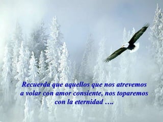 Recuerda que aquellos que nos atrevemos
a volar con amor consiente, nos toparemos
            con la eternidad ….
 