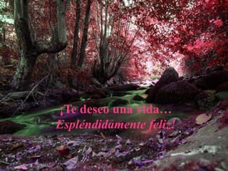 ¡Te deseo una vida…
Espléndidamente feliz!
 