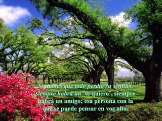 Si sientes que todo perdió su sentido,
siempre habrá un ¨te quiero¨, siempre
 habrá un amigo; esa persona con la
   que se puede pensar en voz alta.
 