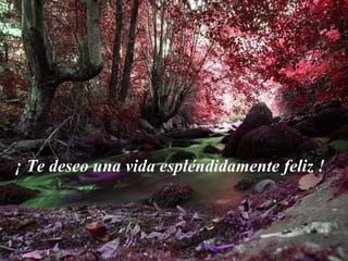 ¡ Te deseo una vida espléndidamente feliz !  