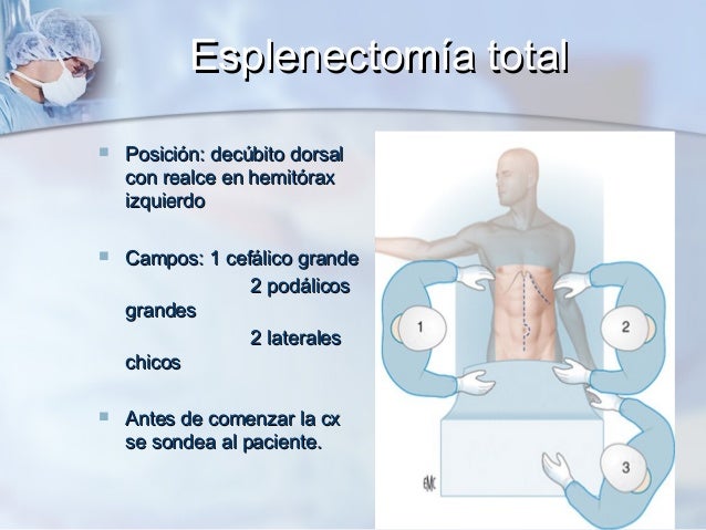 Simula o de algoritmos evolutivos