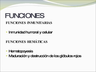 FUNCIONES FUNCIONES INMUNITARIAS Inmunidad humoral y celular FUNCIONES HEMÁTICAS Hematopoyesis Maduración y destrucción de los glóbulos rojos 