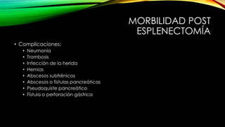 MORBILIDAD POST
ESPLENECTOMÍA
• Complicaciones:
• Neumonía
• Trombosis
• Infección de la herida
• Hernias
• Abscesos subfrénicos
• Abscesos o fístulas pancreáticas
• Pseudoquiste pancreático
• Fístula o perforación gástrica
 