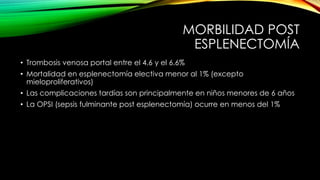 MORBILIDAD POST
ESPLENECTOMÍA
• Trombosis venosa portal entre el 4.6 y el 6.6%
• Mortalidad en esplenectomía electiva menor al 1% (excepto
mieloproliferativos)
• Las complicaciones tardías son principalmente en niños menores de 6 años
• La OPSI (sepsis fulminante post esplenectomía) ocurre en menos del 1%
 
