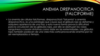 ANEMIA DREPANOCITICA
(FALCIFORME)
• La anemia de células falciformes, drepanocitosis "falcemia" o anemia
drepanocítica, es una patología que causa que el glóbulo rojo se deforme y
adquiera apariencia de una hoz; y esta nueva forma provoca dificultad
para la circulación de los glóbulos rojos, por ello se obstruyen los vasos
sanguíneos y causan síntomas como dolor en las extremidades. Los glóbulos
rojos también padecen de una vida más corta provocando anemia por no
ser reemplazados a tiempo.
 