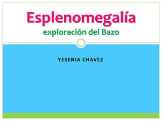 Yesenia chavez Esplenomegalíaexploración del Bazo 