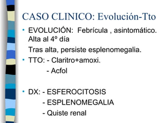 CASO CLINICO: Evolución-Tto
• EVOLUCIÓN: Febrícula , asintomático.
  Alta al 4º día
  Tras alta, persiste esplenomegalia.
• TTO: - Claritro+amoxi.
        - Acfol

• DX: - ESFEROCITOSIS
      - ESPLENOMEGALIA
      - Quiste renal
 