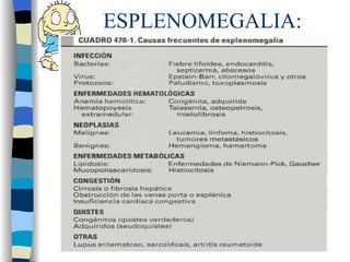 ESPLENOMEGALIA:
          Etiología
                    • Linfomas
• Anemia
                    • Leucemias
  hemolítica
                    • Obstrucción
• Talasemia
                      vena porta
• Infecciones
                    • Trombo
• Tr. Autoinmunes
                      esplénica
• Enf. Gaucher      • Idiopática
• Amiloidosis
 
