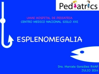 ESPLENOMEGALIA
UMAE HOSPITAL DE PEDIATRIA

CENTRO MEDICO NACIONAL SIGLO XXI
Dra. Marcela González R4AP

JULIO 2014
 