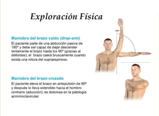  Exploracion Física del Hombro