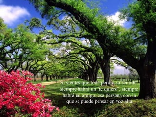 Si sientes que todo perdió su sentido,
siempre habrá un ¨te quiero¨, siempre
habrá un amigo; esa persona con la
que se puede pensar en voz alta.
 