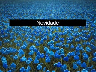 Novidade
 