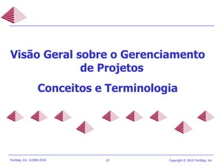Visão Geral sobre o Gerenciamento de Projetos Conceitos e Terminologia 