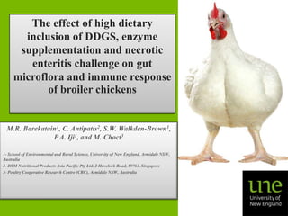 The effect of high dietary
inclusion of DDGS, enzyme
supplementation and necrotic
enteritis challenge on gut
microflora and immune response
of broiler chickens

M.R. Barekatain1, C. Antipatis2, S.W. Walkden-Brown1,
P.A. Iji1, and M. Choct3
1- School of Environmental and Rural Science, University of New England, Armidale NSW,
Australia
2- DSM Nutritional Products Asia Pacific Pty Ltd. 2 Havelock Road, 59763, Singapore
3- Poultry Cooperative Research Centre (CRC), Armidale NSW, Australia

 