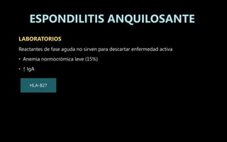 LABORATORIOS
Reactantes de fase aguda no sirven para descartar enfermedad activa
• Anemia normocrómica leve (15%)
• ↑ IgA
ESPONDILITIS ANQUILOSANTE
HLA-B27
 