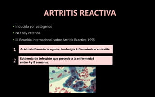 • Inducida por patógenos
• NO hay criterios
• III Reunión Internacional sobre Artritis Reactiva 1996
ARTRITIS REACTIVA
Artritis inflamatoria aguda, lumbalgia inflamatoria o entesitis.
Evidencia de infección que precede a la enfermedad
entre 4 y 8 semanas.
1
2
 