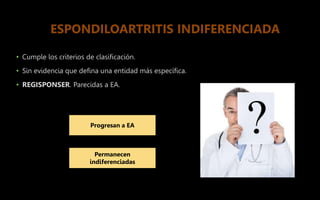 • Cumple los criterios de clasificación.
• Sin evidencia que defina una entidad más específica.
• REGISPONSER. Parecidas a EA.
ESPONDILOARTRITIS INDIFERENCIADA
Progresan a EA
Permanecen
indiferenciadas
 