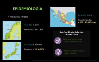 EPIDEMIOLOGÍA
• Prevalencia variable
HLA-B27  24%
Prevalencia EA: 1.8%
HLA-B27  Mínima
Prevalencia EA: 0.01%
2da-3ra década de la vida
HOMBRES 4:1
Columna, pelvis, tórax,
cadera, hombros, pies.
Rodillas, carpos, tobillos,
cadera y pelvis
Reumatología para el clínico. Manuel Robles San Román, Juan Carlos Cajigas Melgoza, Lucio Ventura
HLA-B27  5%
Prevalencia EA:
4,160 - 93,600 casos
 