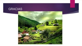GRACIAS
 