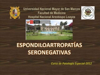 Universidad Nacional Mayor de San Marcos
          Facultad de Medicina
   Hospital Nacional Arzobispo Loayza




                   Curso de Patología Especial-2012
 
