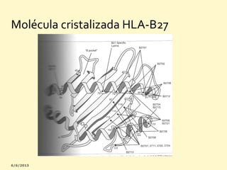 Molécula cristalizada HLA-B27

 
