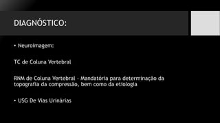 DIAGNÓSTICO:
• Neuroimagem:
TC de Coluna Vertebral
RNM de Coluna Vertebral – Mandatória para determinação da
topografia da compressão, bem como da etiologia
• USG De Vias Urinárias
 