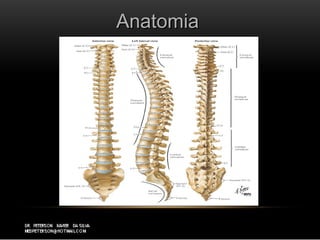 AnatomiaAnatomia
 