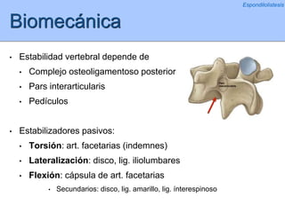 Biomecánica
• Estabilidad vertebral depende de
• Complejo osteoligamentoso posterior
• Pars interarticularis
• Pedículos
• Estabilizadores pasivos:
• Torsión: art. facetarias (indemnes)
• Lateralización: disco, lig. iliolumbares
• Flexión: cápsula de art. facetarias
• Secundarios: disco, lig. amarillo, lig. ínterespinoso
Espondilolistesis
 
