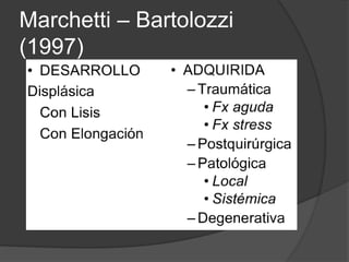 Marchetti – Bartolozzi
(1997)
 