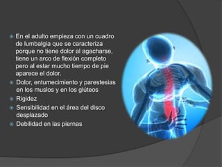  En el adulto empieza con un cuadro
de lumbalgia que se caracteriza
porque no tiene dolor al agacharse,
tiene un arco de flexión completo
pero al estar mucho tiempo de pie
aparece el dolor.
 Dolor, entumecimiento y parestesias
en los muslos y en los glúteos
 Rigidez
 Sensibilidad en el área del disco
desplazado
 Debilidad en las piernas
 