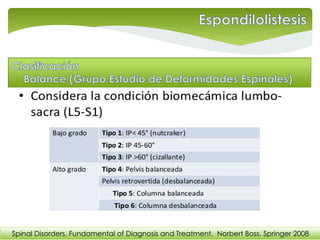 Spinal Disorders. Fundamental of Diagnosis and Treatment. Norbert Boss. Springer 2008
 