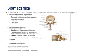 Biomecánica
• El entorno de la unión lumbosacra es complejo y funciona como un conjunto armonioso.
 