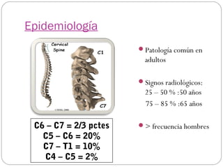 Epidemiología
Patología común en

adultos
Signos radiológicos:

25 – 50 % :50 años
75 – 85 % :65 años

C6 – C7 = 2/3 pctes
C5 – C6 = 20%
C7 – T1 = 10%
C4 – C5 = 2%

> frecuencia hombres

 