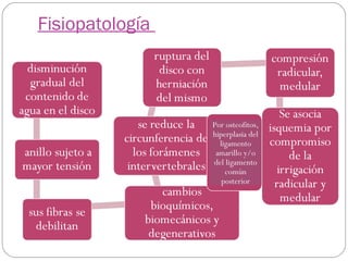 Fisiopatología

Por osteofitos,
hiperplasia del
ligamento
amarillo y/o
del ligamento
común
posterior

 
