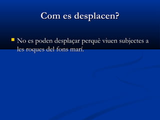 Com es desplacen?Com es desplacen?
 No es poden desplaçar perquè viuen subjectes aNo es poden desplaçar perquè viuen subjectes a
les roques del fons marí.les roques del fons marí.
 