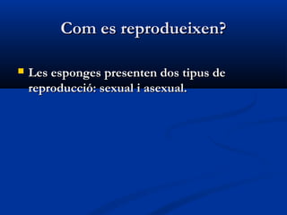 Com es reprodueixen?Com es reprodueixen?
 Les esponges presenten dos tipus deLes esponges presenten dos tipus de
reproducció: sexual i asexual.reproducció: sexual i asexual.
 