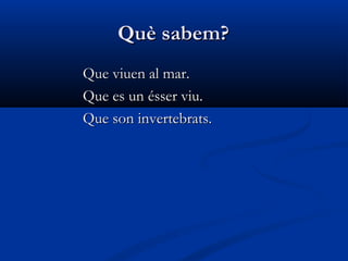 Què sabem?Què sabem?
Que viuen al mar.Que viuen al mar.
Que es un ésser viu.Que es un ésser viu.
Que son invertebrats.Que son invertebrats.
 