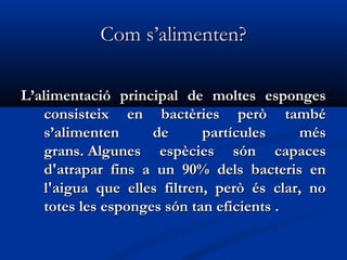 Com s’alimenten?Com s’alimenten?
L’alimentació principal de moltes espongesL’alimentació principal de moltes esponges
consisteix en bactèries però tambéconsisteix en bactèries però també
s’alimenten de partícules méss’alimenten de partícules més
grans. Algunes espècies són capacesgrans. Algunes espècies són capaces
d'atrapar fins a un 90% dels bacteris end'atrapar fins a un 90% dels bacteris en
l'aigua que elles filtren, però és clar, nol'aigua que elles filtren, però és clar, no
totes les esponges són tan eficients .totes les esponges són tan eficients .
 