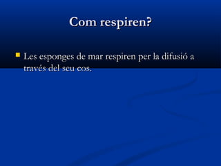 Com respiren?Com respiren?
 Les esponges de mar respiren per la difusió aLes esponges de mar respiren per la difusió a
través del seu cos.través del seu cos.
 
